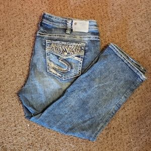 Womens Plus Size Silver Suki Mid Capri